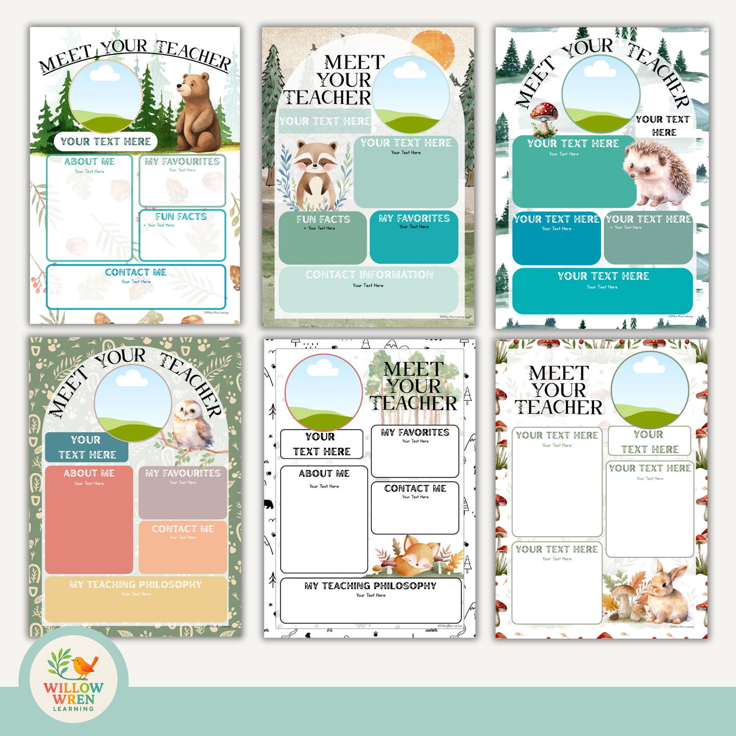 Forest Friends Meet the Teacher Template 🍄