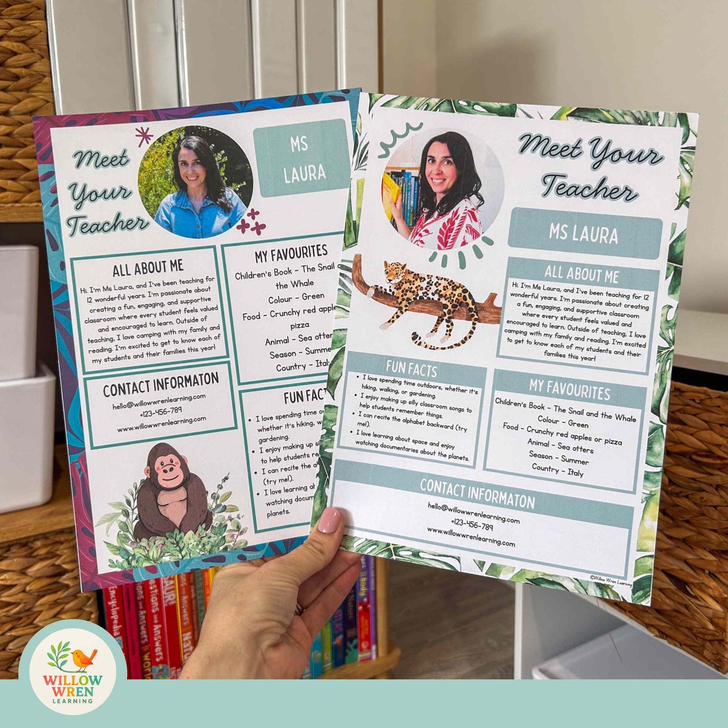 Rainforest Meet the Teacher Template 🌿