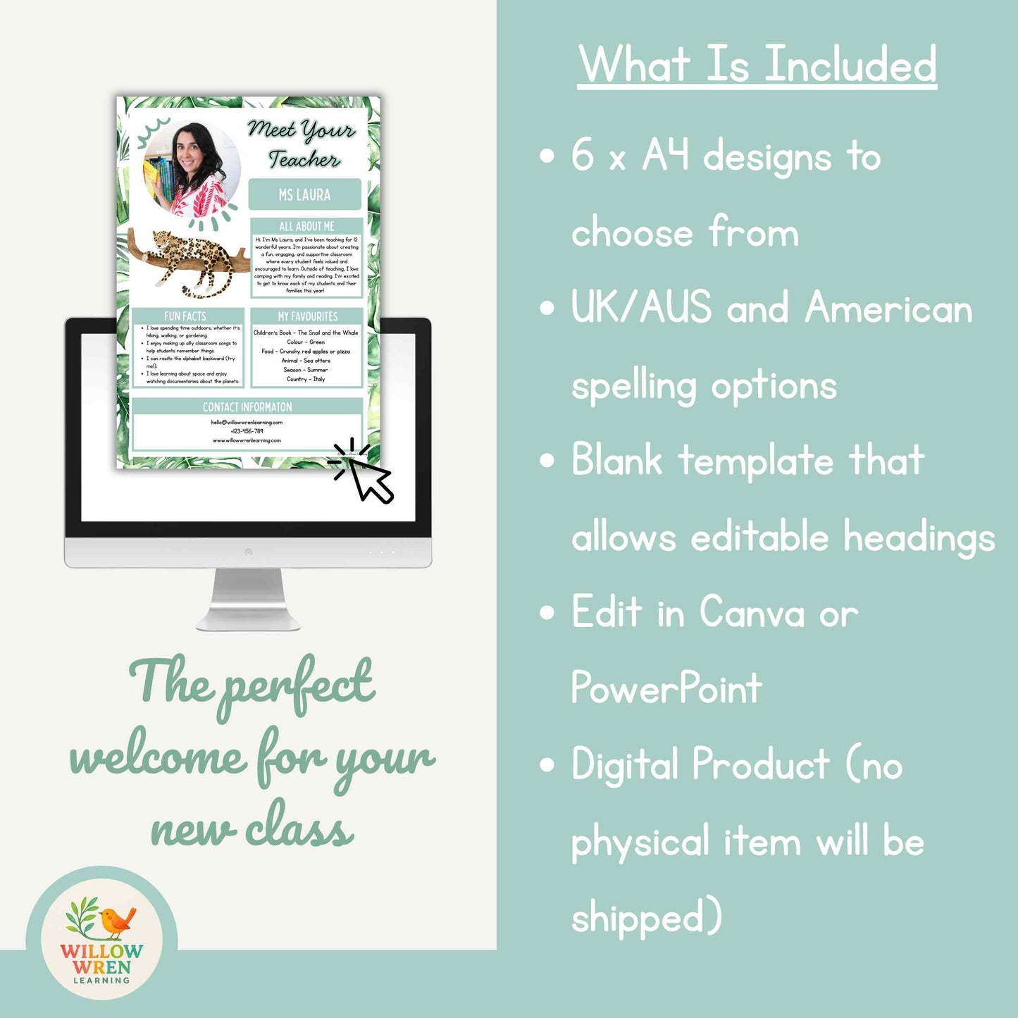 Rainforest Meet the Teacher Template 🌿